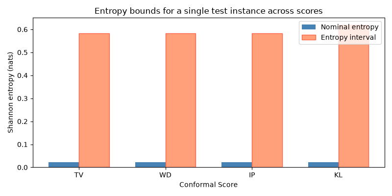Entropy bounds for a single test instance across scores