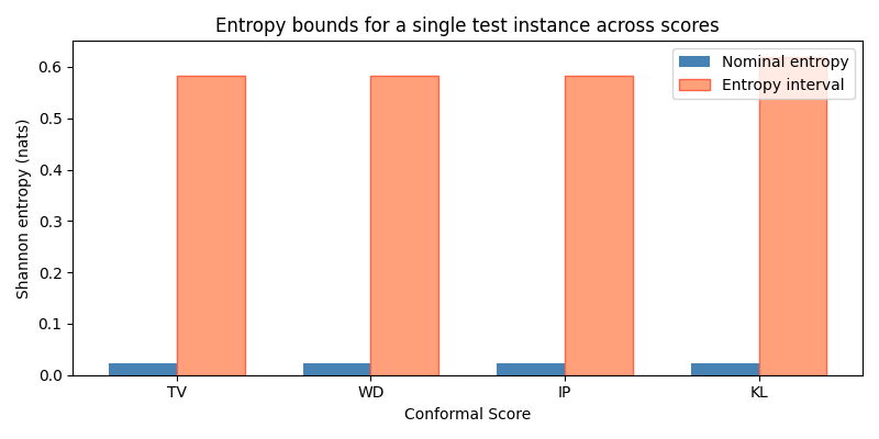 Entropy bounds for a single test instance across scores